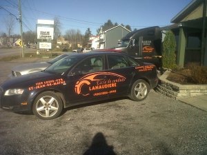 photo louise cell 2015 238